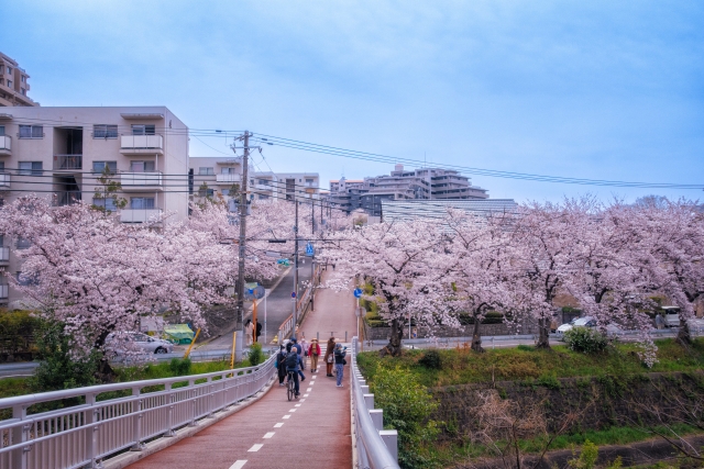 豊中市で増える空き家!その影響とは?