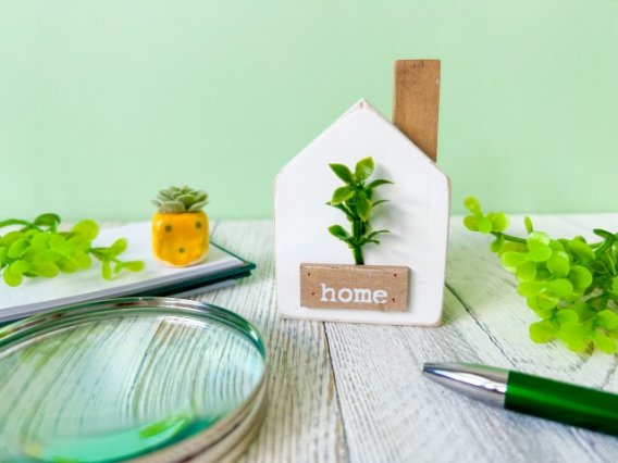 家タダであげますって本当にできる？空き家を無料で手放す方法と注意点