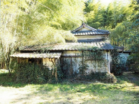 田舎の空き家を活用する方法とは？具体的なステップをご紹介