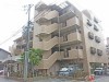 グローバル宝塚小浜