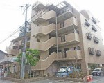 グローバル宝塚小浜