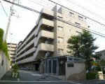 ハイロイヤル緑地公園パ...