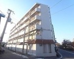 シャトルヨネ
