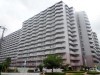 シャンテ川西5号棟