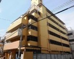 パレ正起