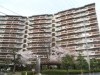 豊中野畑団地4号棟