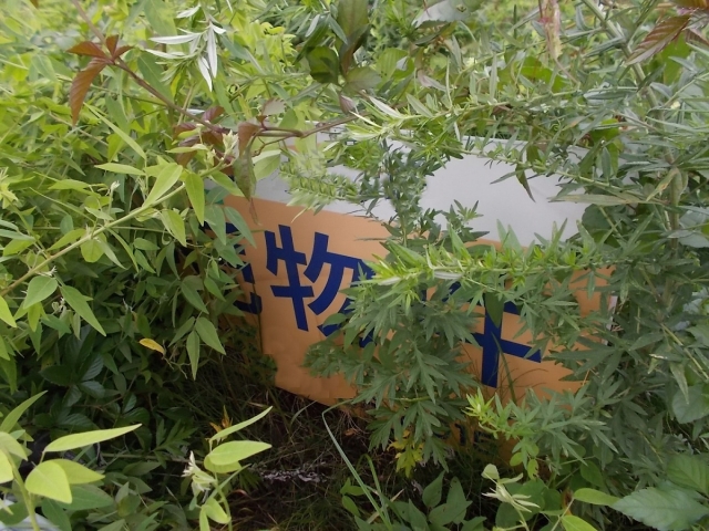 空き家 空き地 管理