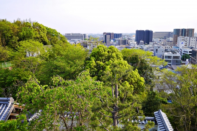池田市　家探し